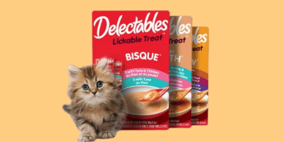 FULL BOX of Delectables Licking Cat treat