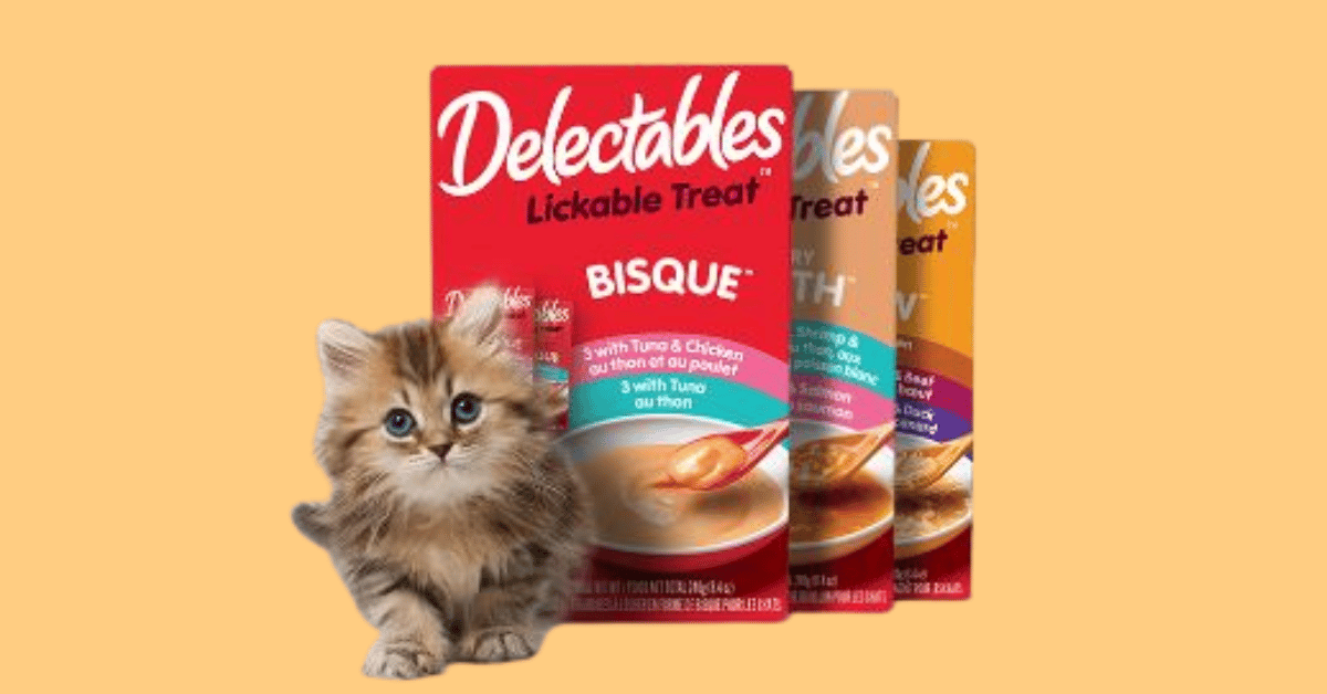 Cat food hot sale sample box